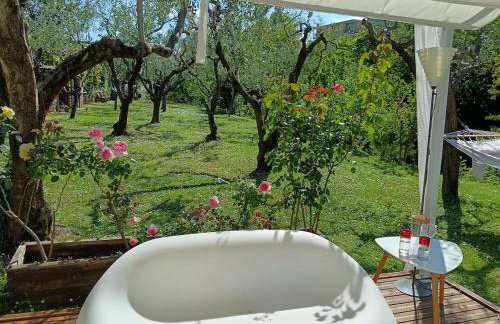 Gli Ulivi - Foto 6