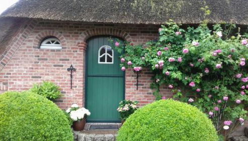 Das Rosenhaus - Foto 4