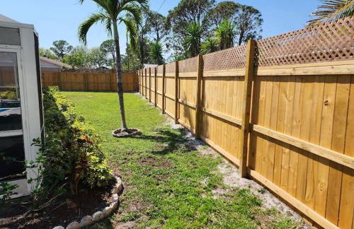 Sea Turtle Sunshine - Foto 18