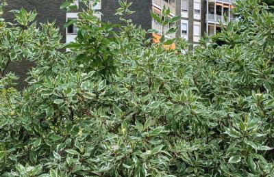 Le Jardin Secret - Foto 24