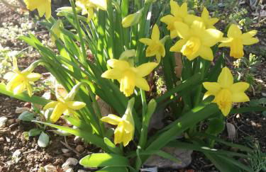 Casa Vacanze "Dimora Quercia" - Villino "Quercia" - Foto 42