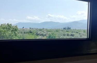 κτήμα ΝΟΣΤΟΣ - Photo 32