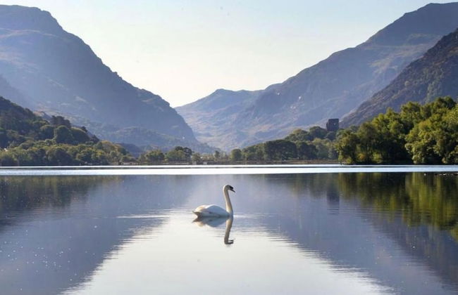 Crib Goch Cozy Dog-friendly Cabin Retreat - Photo 9