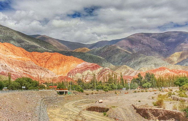Excursion aux Salinas Grandes - Photo 8