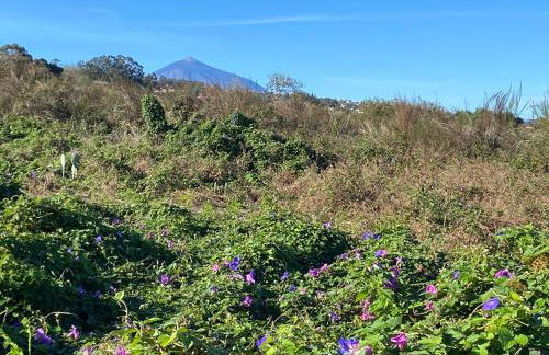 Rural House to take a Break, La Serreria 25 - Private garden - Foto 42