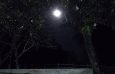 Exclusivo Haras Marilu! - Foto 11