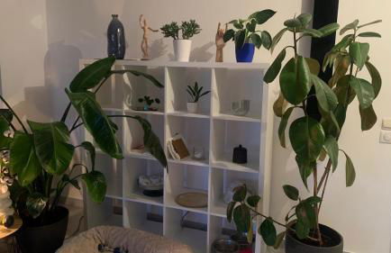 Montpellier Un écrin de lumière pour enchanter votre séjour - Photo 16