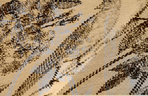 Oceans Edge Eagle Retreat - Foto 20