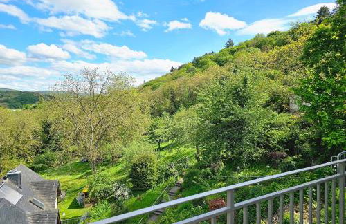 Little Rhine View Château - EG Apartment - Foto 40