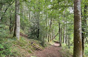 Très beau gîte à proximité du Lac de Vassivière - Foto 18