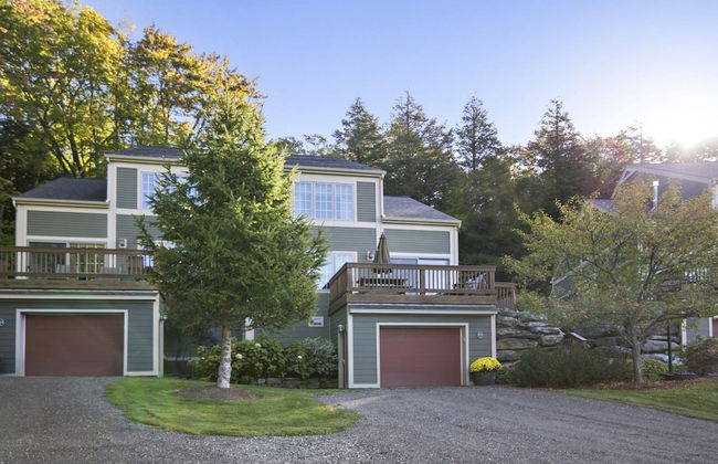 Americana at Topnotch Overlook - Photo 21