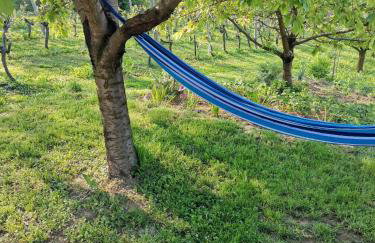 Villa Marijana - Foto 22