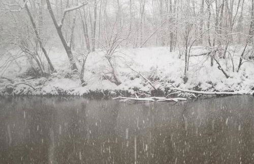 luxury Dear Tryon Cabin by TIEC in Green River Highlands - Foto 34