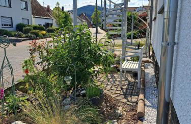 Fewo ,Sonnenstübchen, - Foto 15