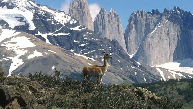 Parque Nacional Torres del Paine - Excursión de día completo - Foto 2