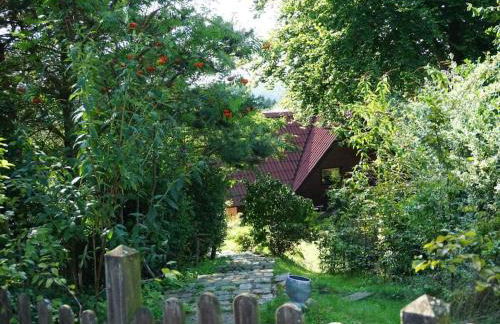 Holiday home in Süttorf with swimming pool - Foto 7