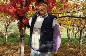 Vacation House a Mola di Bari - Foto 56