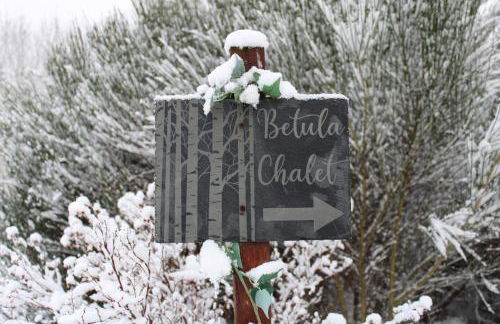 Betula Chalet – coast & country in the Highlands - Foto 28