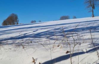 Holiday Home in Willersdorf With Outdoor Sauna - Foto 89