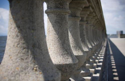 Luxury Holistic Oasis by Bayshore/Hyde Park/SoHo - Foto 6