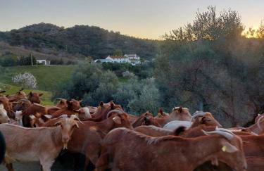 El Paraíso Perdido - Foto 40