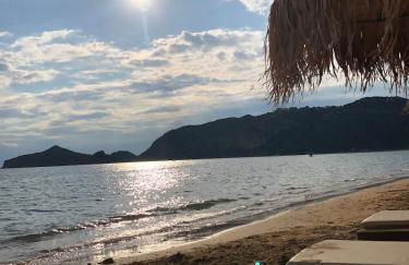 Sofia's Bella Vista Pagoi - Photo 78