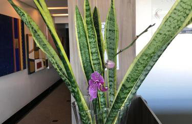 Sete Lagoas Residence Hotel - Photo 33