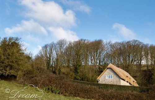 Pitt Cottage - Photo 21