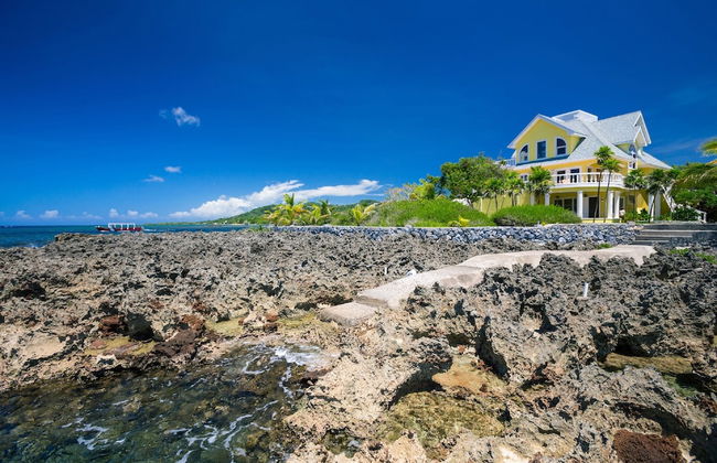 Yellow Bird - Foto 19