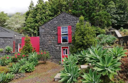 Casas de Incensos - TER -TA - Photo 41