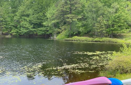 Emerald Escape Lake, Theater, Game Room & More! - Foto 50