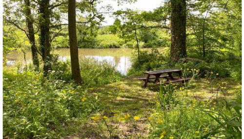 Park Farm Chalet - Foto 3, Garden