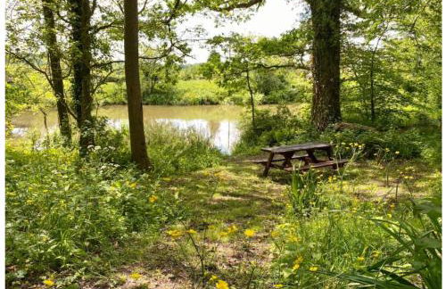 Park Farm Chalet - Foto 3