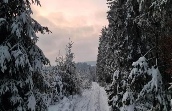 Holiday Home in Houffalize Near Nisramont - Photo 39