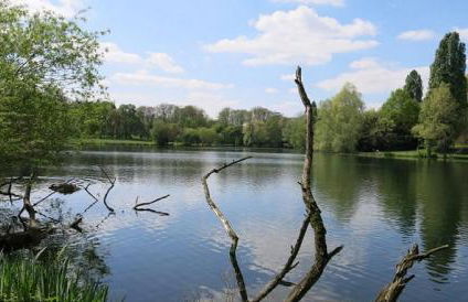 Welcome Home - Foto 8