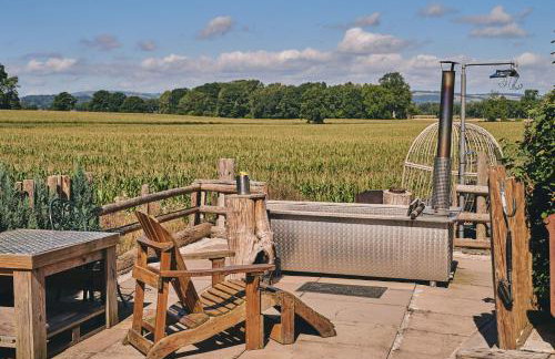 Curious Calf - Foto 2