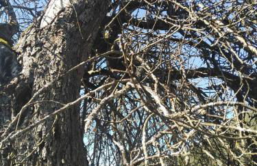 Haus Pfaffenfels - Foto 11