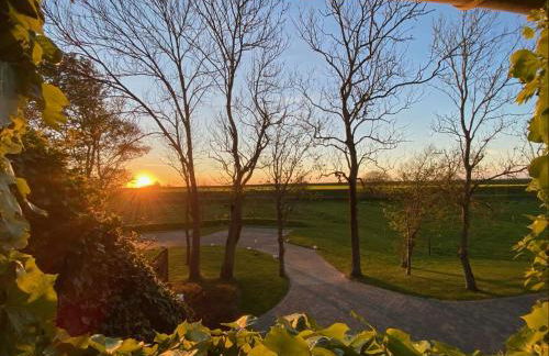 Ostfrieschen Ferienwohnung & Spielscheune - Foto 13