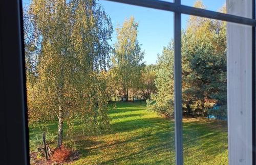 Między Brzozami - Foto 12