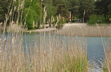Hüttendorf für Euch alleine - geführter Yachtausflug nach Prieros inclusive! Nur 3 Minuten zum Badesee Fahrräder kostenlos vorhanden - Foto 32