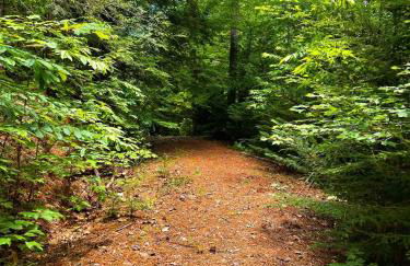 Tiny House, WIFI,Hot tub,Secluded - Foto 12