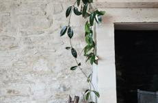 La petite chouette - Photo 11