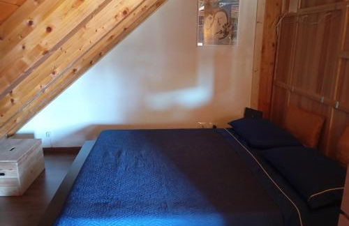 La casa tra gli alberi - Foto 6