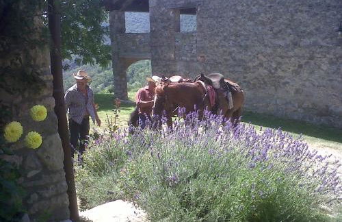 La Piana Dei Castagni - Foto 33
