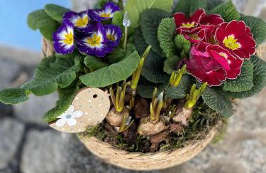 Ferienwohnungen Schiffmann - Foto 16