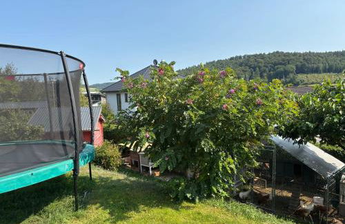 Gemütliche Ferienwohnung mit Sonnenterrasse - Foto 39