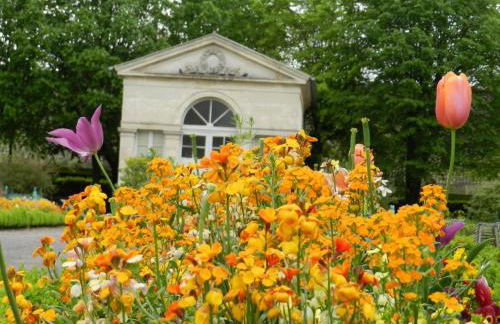 Le Faubourg-Raines - Chaleureux studio à 5mn de la gare - Foto 33