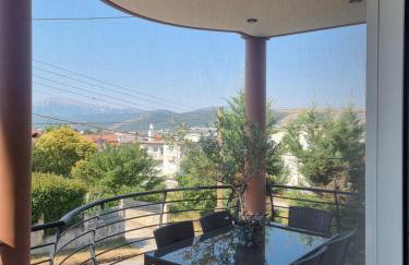 Morfeas Apartment Ioannina - Foto 3