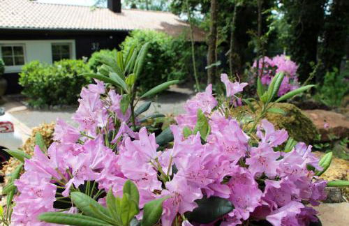 Ferienhaus Vogelsbergblick, Fernblick, Sauna, Kamin, 1700m eingezäunt in Alleinlage - Foto 67
