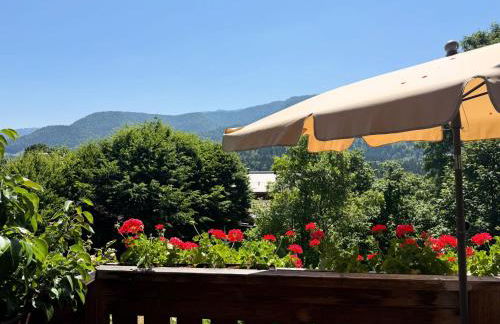 Gästehaus Hausenbauer - Foto 39